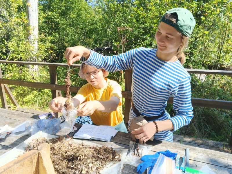 Обработка метериалов по дуплянкам в ЦЛГБЗ