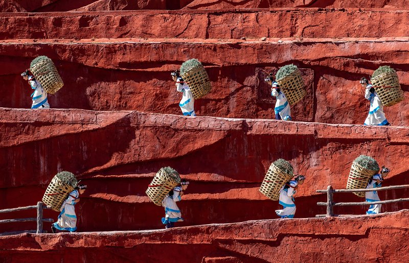 Елизавета Кирина. Шанхай. Сцена сбора чая в шоу Impression Lijiang