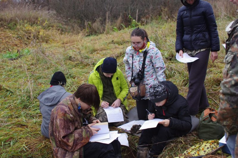 Зелëная олимпиада биологического кружка ВООП под Крюково