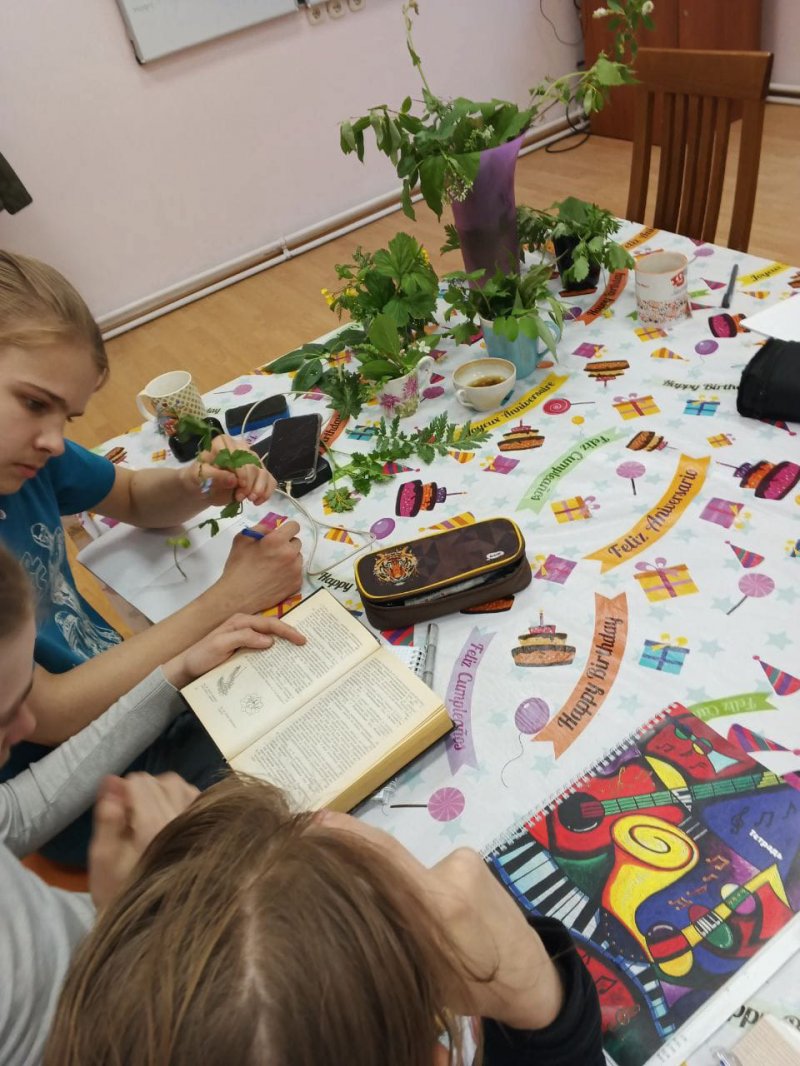 Занятие по полевой ботанике в музее